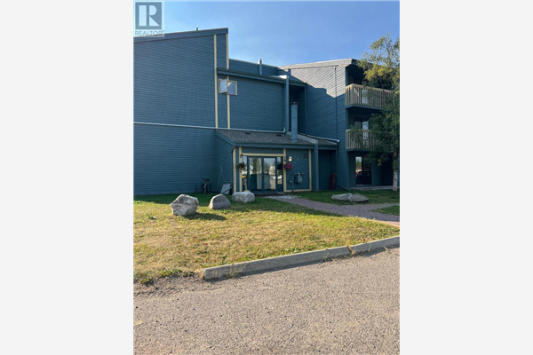 #317 216 SPIEKER Avenue,, Tumbler Ridge