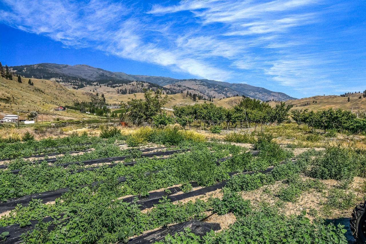Listing 198105 - Large Photo # 3