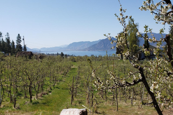 4789 NORTH NARAMATA Road,, Naramata