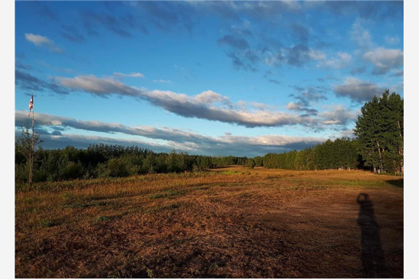 9187 HWY 97,, Dawson Creek