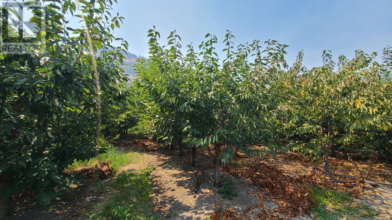 4243 HWY 97