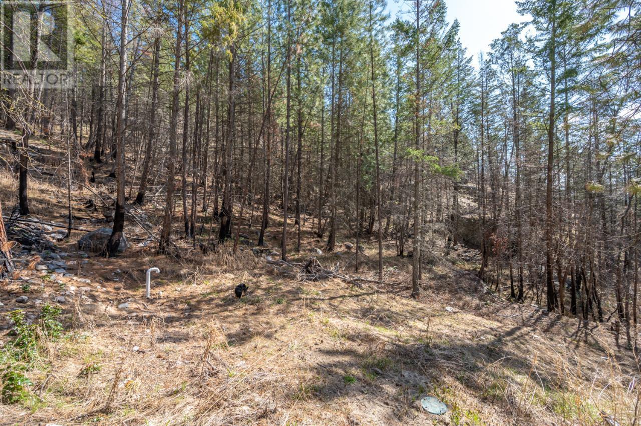 456 MATHESON Road