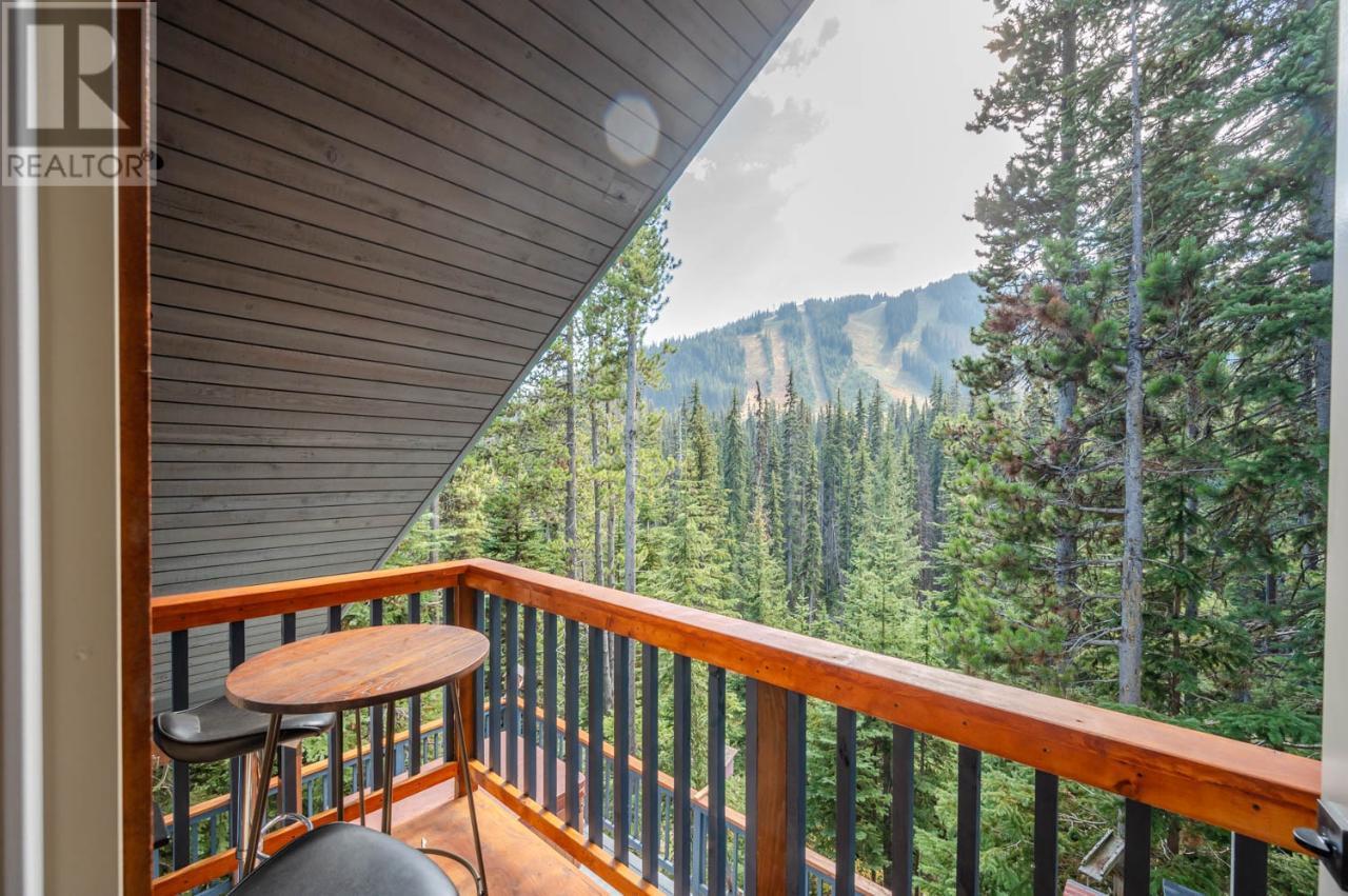 1417 APEX MOUNTAIN Road