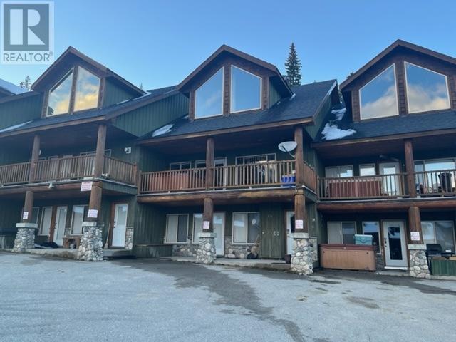 1259 APEX MOUNTAIN Road Unit# 5, #5