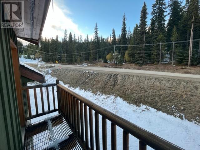 1259 APEX MOUNTAIN Road Unit# 5, #5