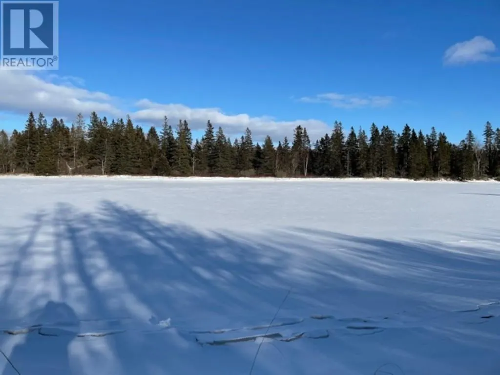 Lots 1,2,21,22 Wildwood Court|Cross Shores Estates