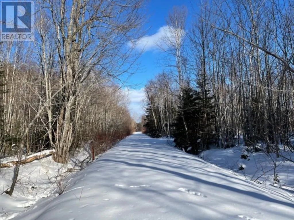 Lots 1,2,21,22 Wildwood Court|Cross Shores Estates