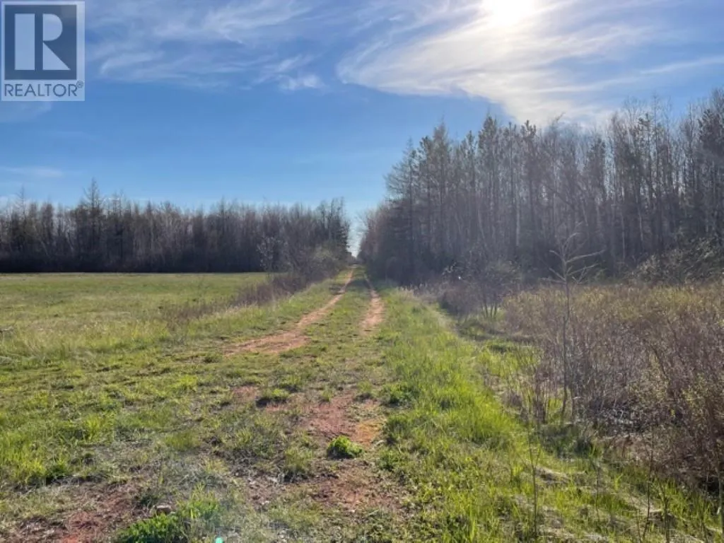 Lots 1,2,21,22 Wildwood Court|Cross Shores Estates