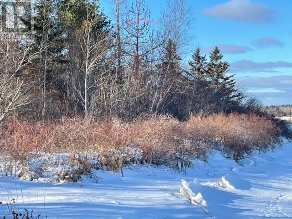 Lots 1,2,21,22 Wildwood Court|Cross Shores Estates