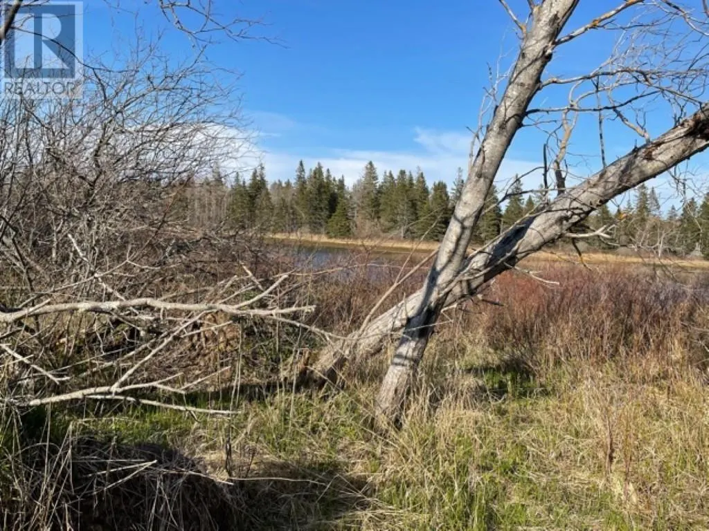 Lots 1,2,21,22 Wildwood Court|Cross Shores Estates