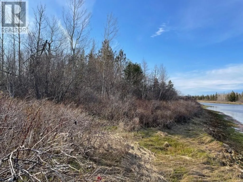Lots 1,2,21,22 Wildwood Court|Cross Shores Estates