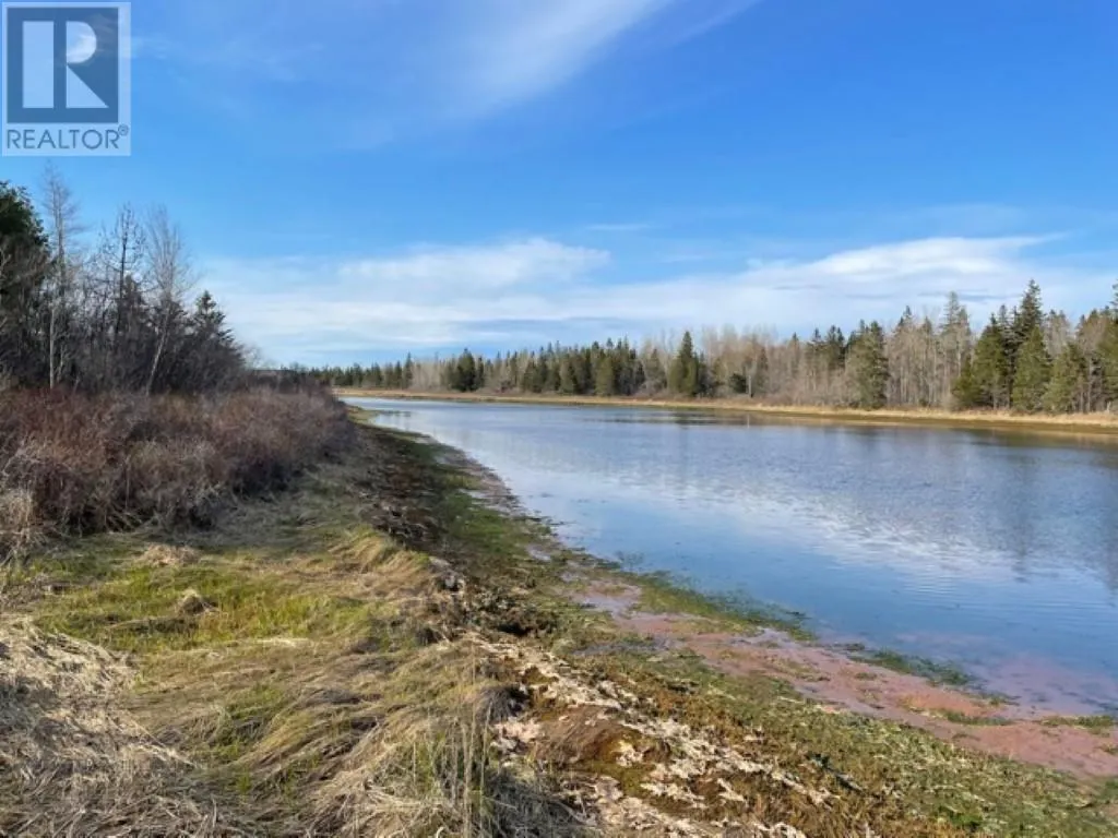 Lots 1,2,21,22 Wildwood Court|Cross Shores Estates