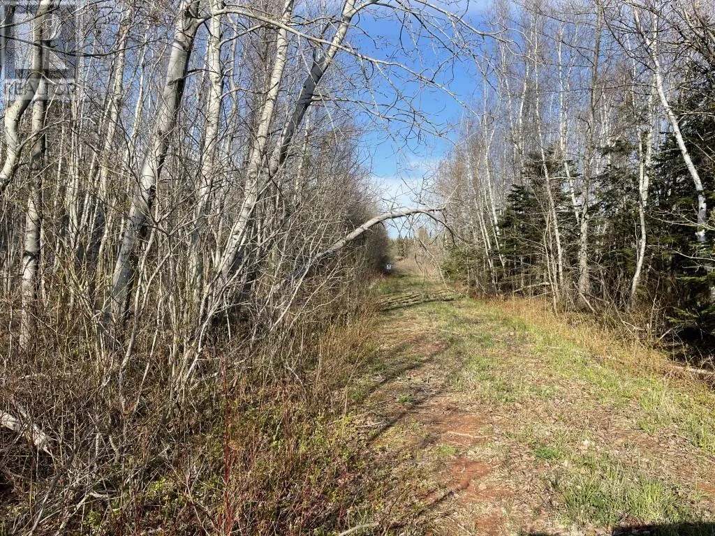 Lots 1,2,21,22 Wildwood Court|Cross Shores Estates