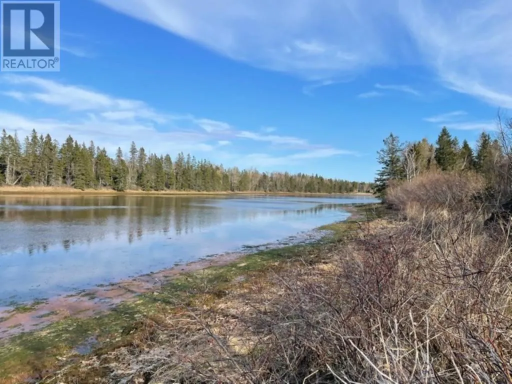 Lots 1,2,21,22 Wildwood Court|Cross Shores Estates