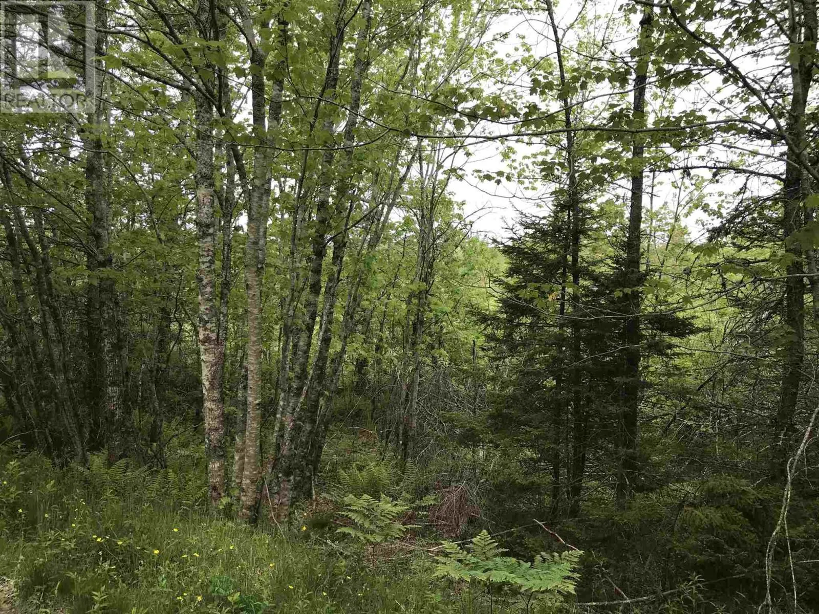 53.03 Acres Highway 308 Highway