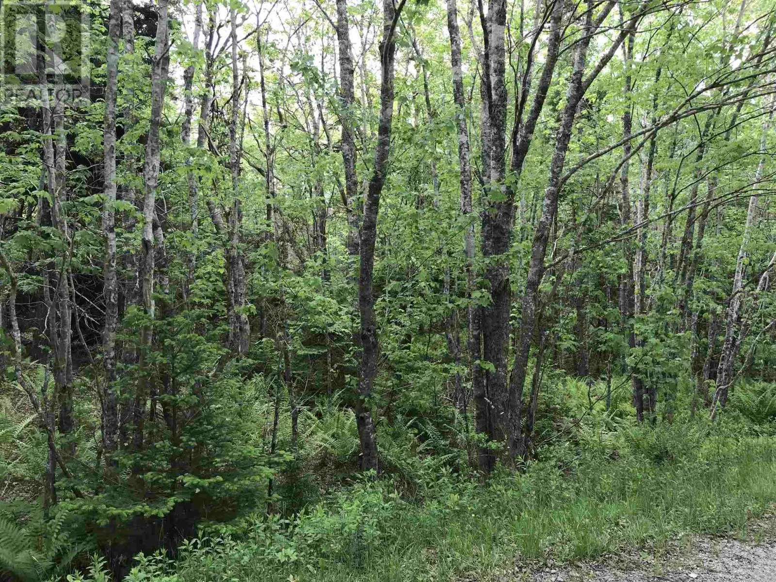 53.03 Acres Highway 308 Highway