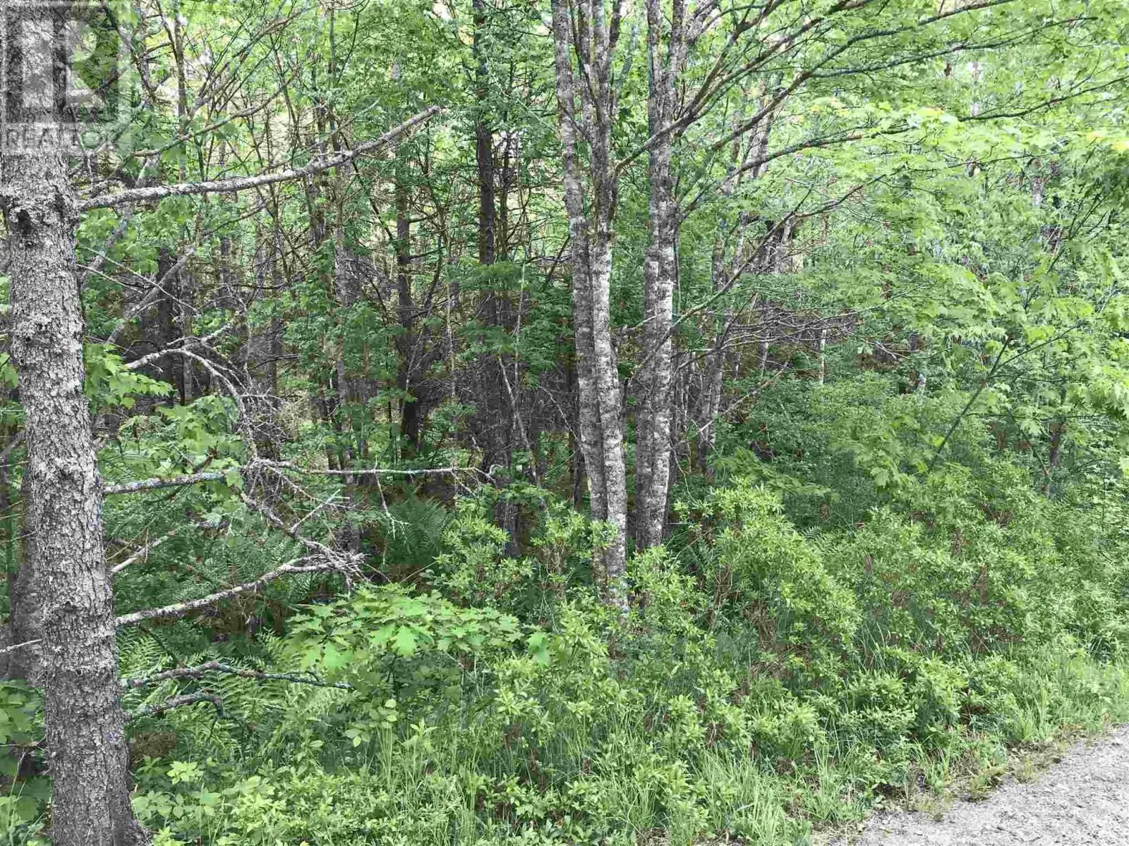 53.03 Acres Highway 308 Highway