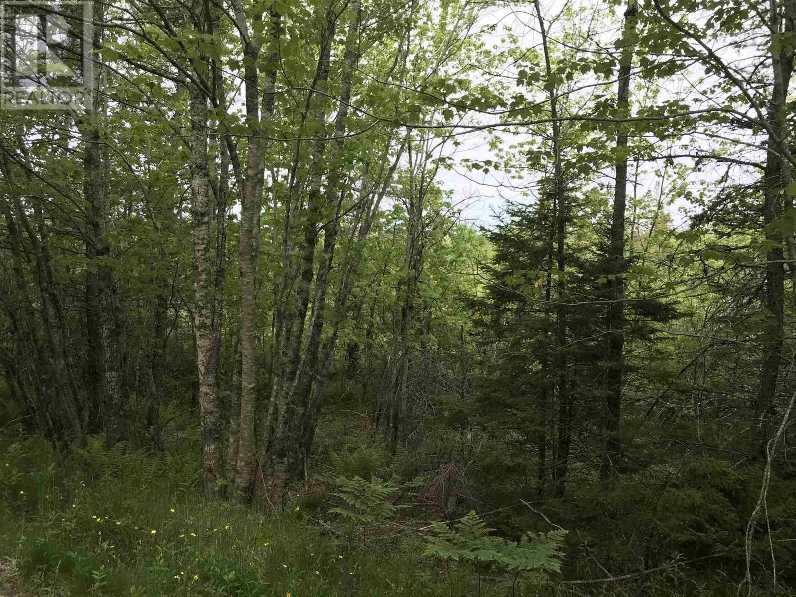 53.03 Acres Highway 308 Highway