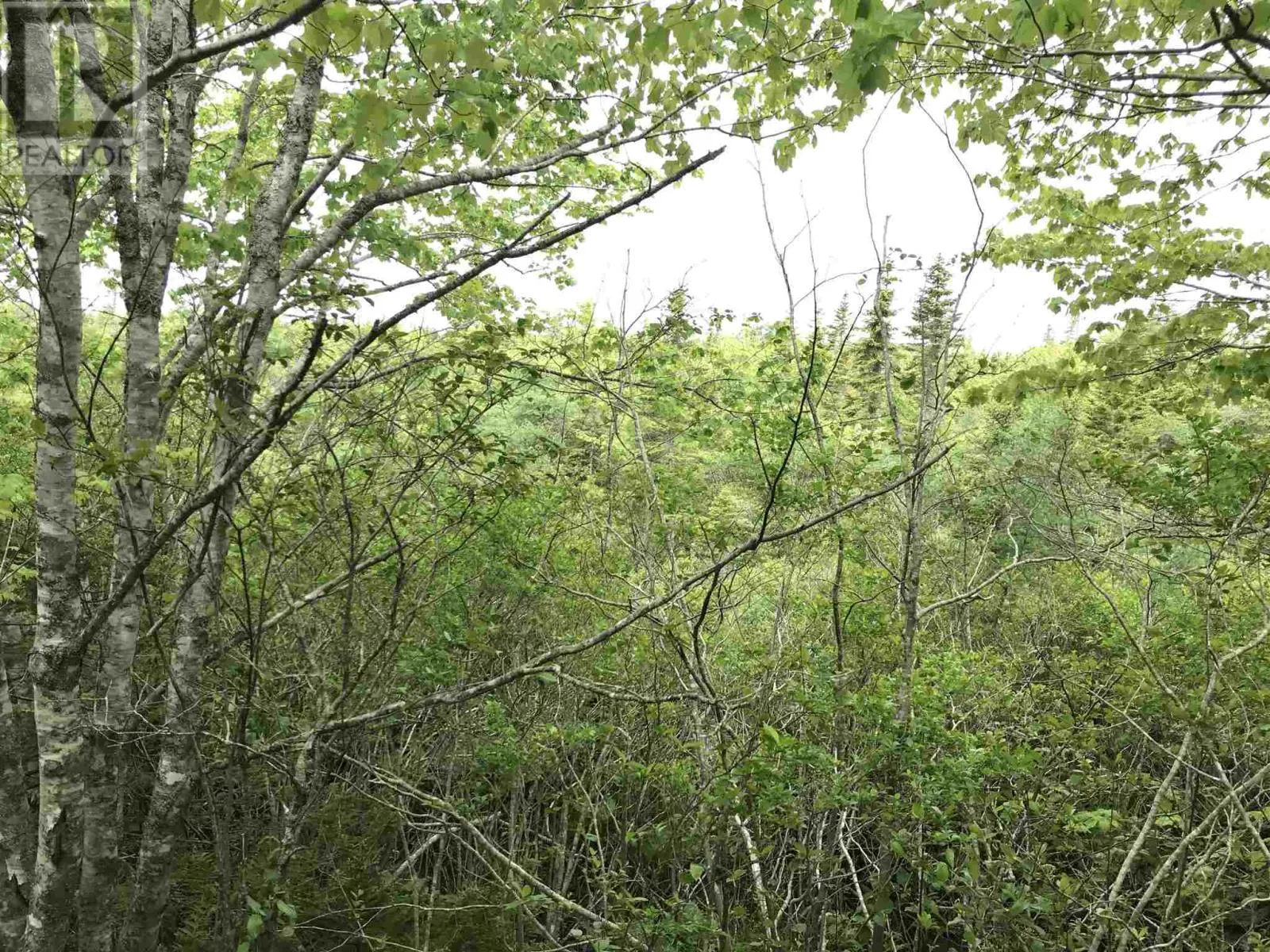 53.03 Acres Highway 308 Highway