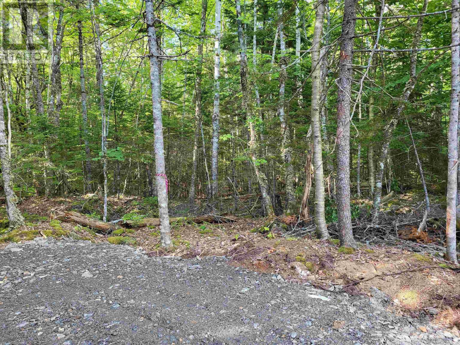 Lot 57 Turner Point Crossover