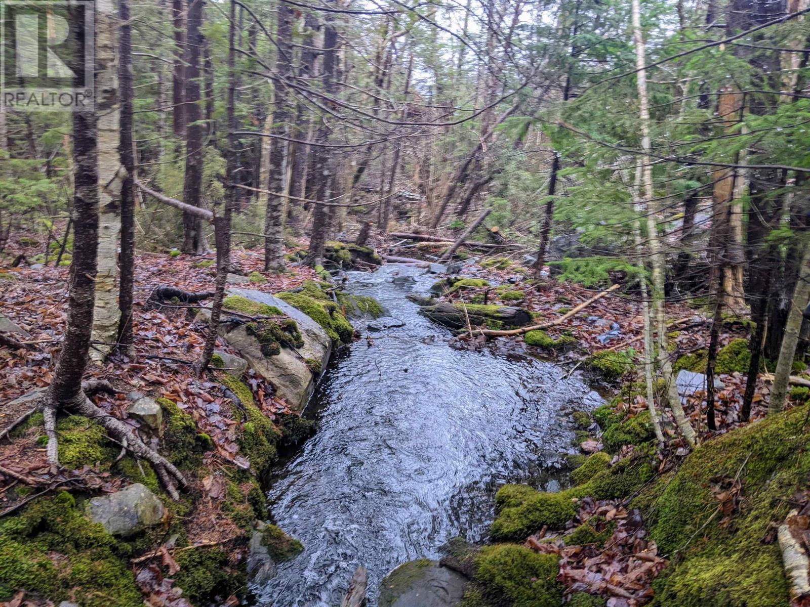 Unit 28 Shadebush Walk|Meadow Ridge Estates, #28