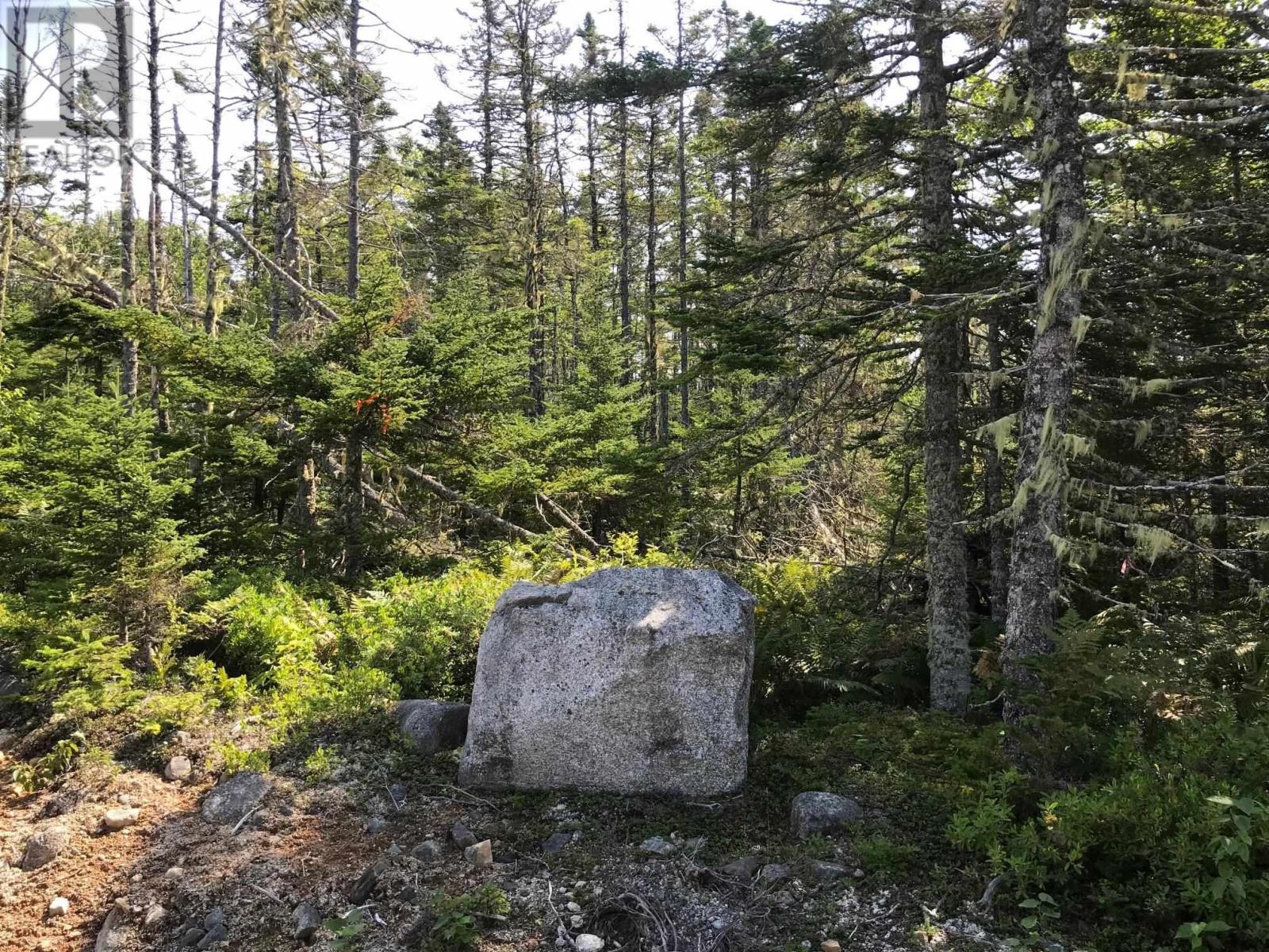 Lot 251 138 Shad Point Parkway