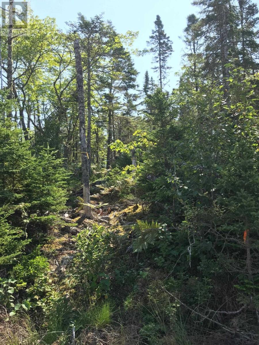 Lot 251 138 Shad Point Parkway