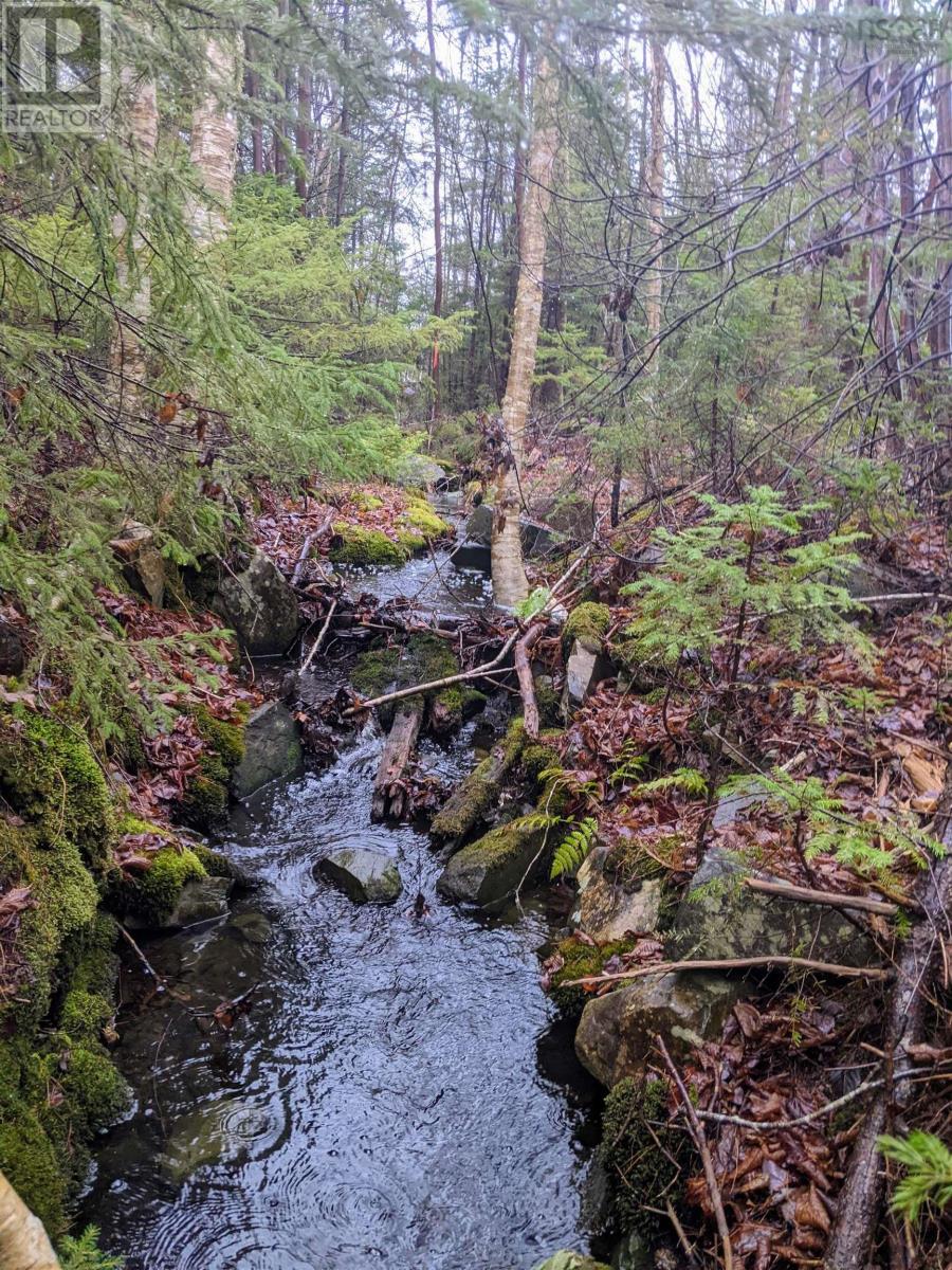 Unit 29 Shadebush Walk|Meadow Ridge Estates, #29