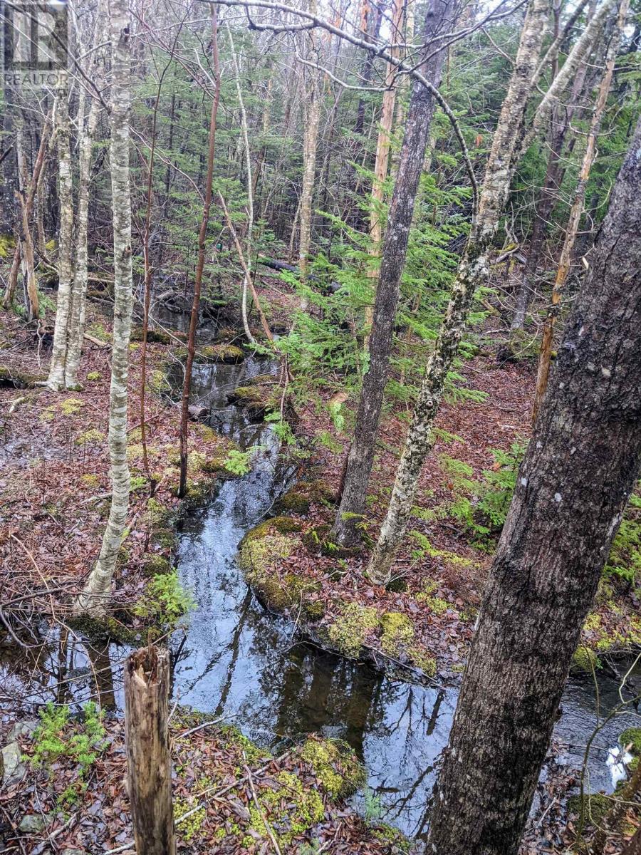 Unit 29 Shadebush Walk|Meadow Ridge Estates, #29