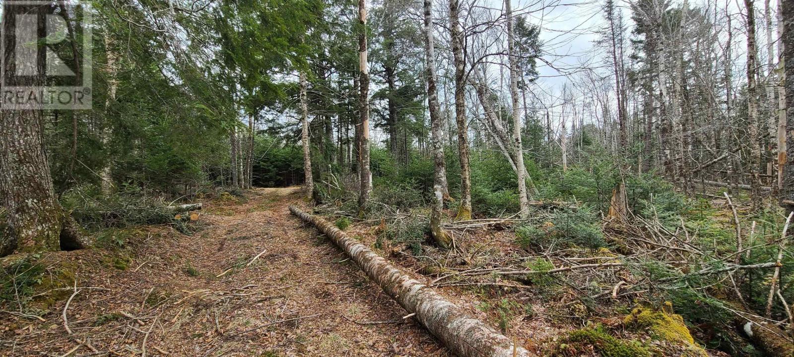 Lot 4 VALLEY Road|Lot 1 OLD PICTOU Road