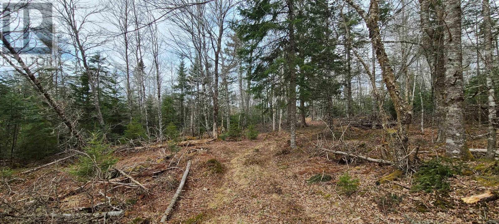 Lot 4 VALLEY Road|Lot 1 OLD PICTOU Road