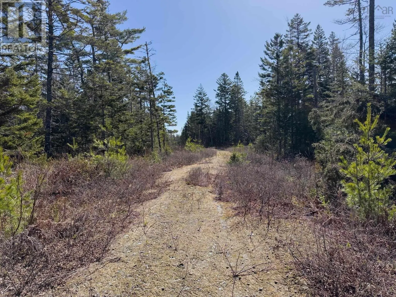 Lot 17 Boutilier Branch Road