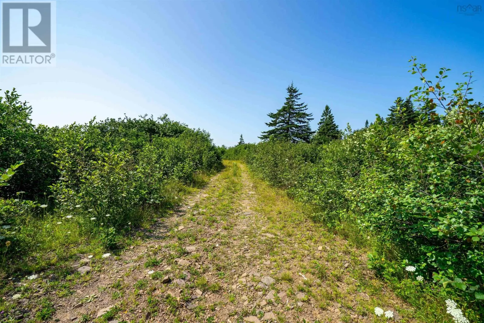 Robicheau Road