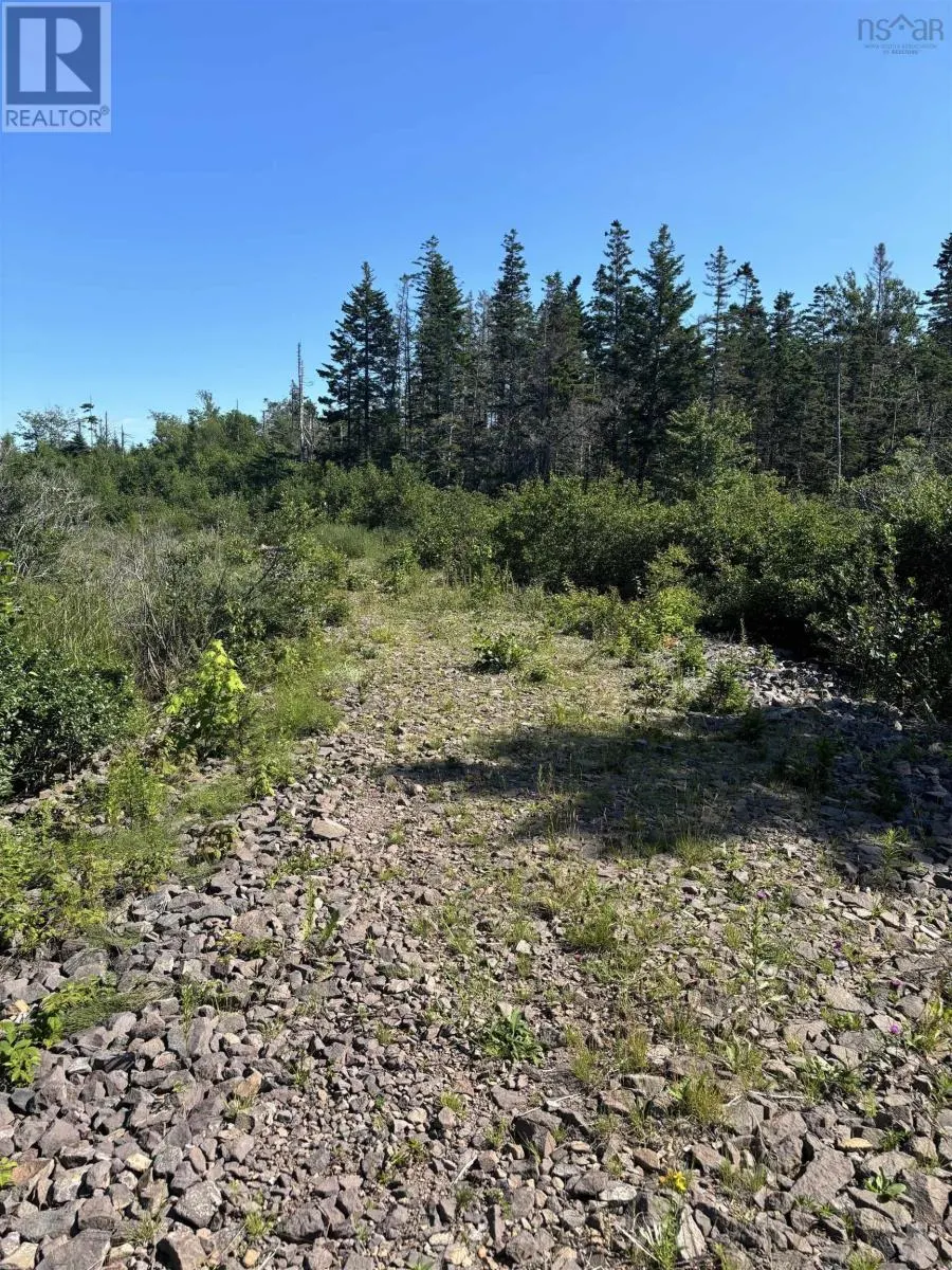 Robicheau Road