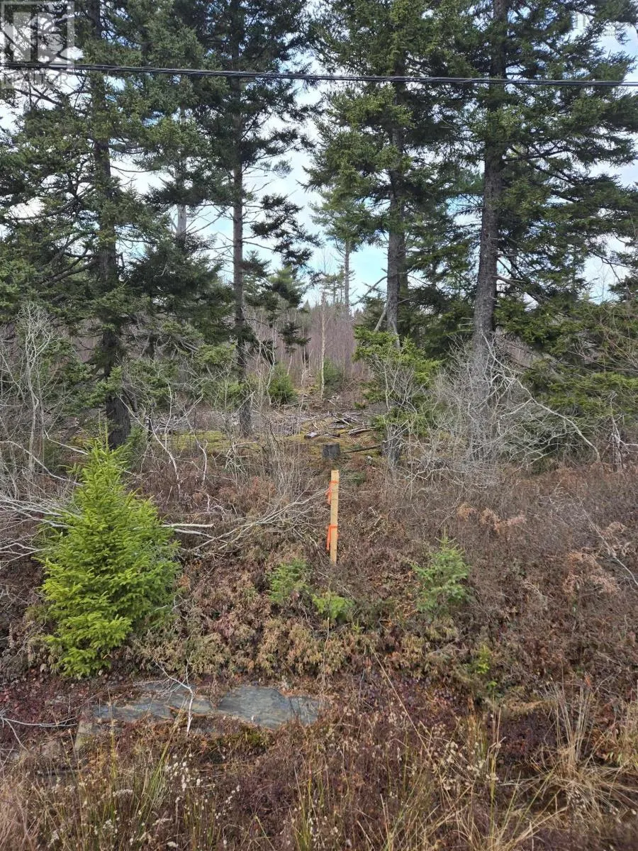 Lot P-2 Mount Pleasant Road