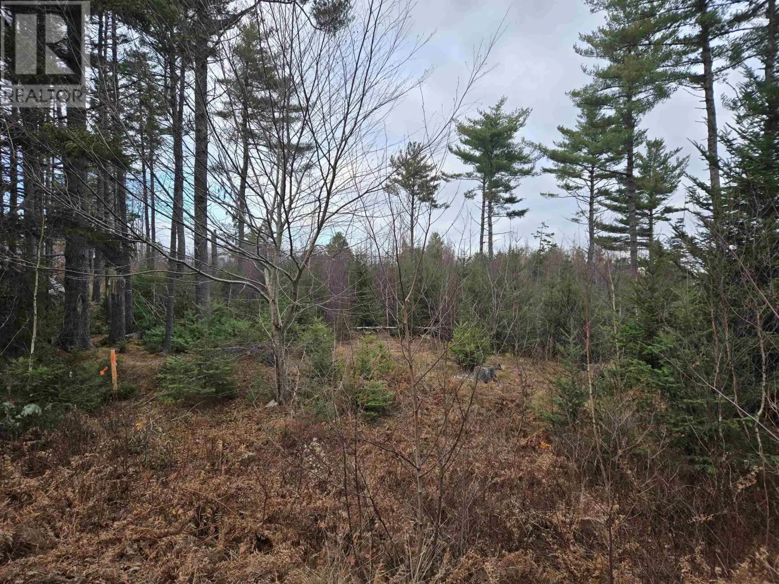 Lot P-1 Baker Road