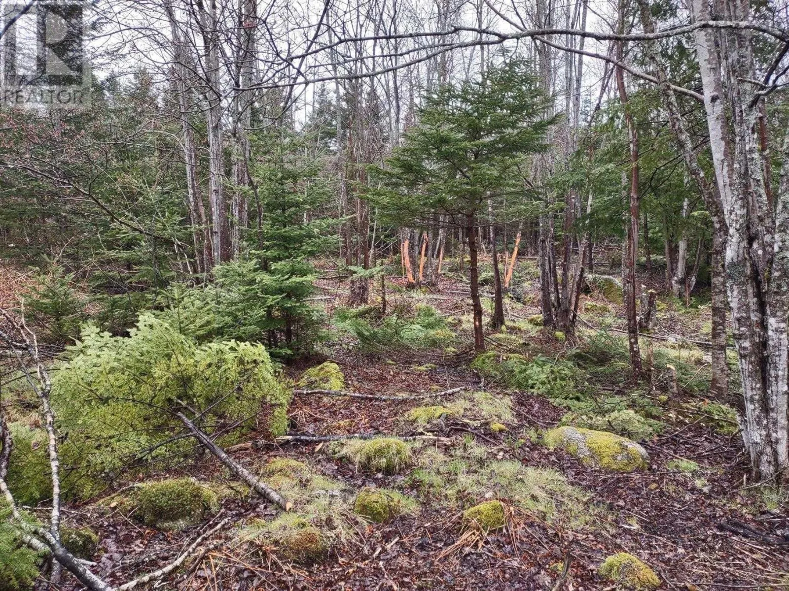 1218 St Margarets Bay Road
