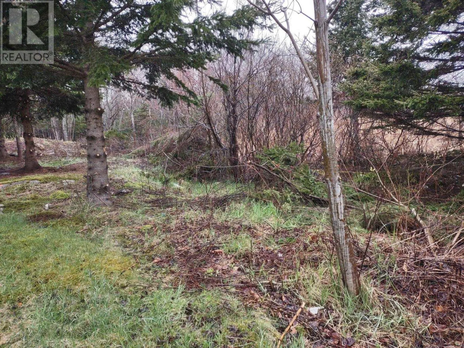 1218 St Margarets Bay Road