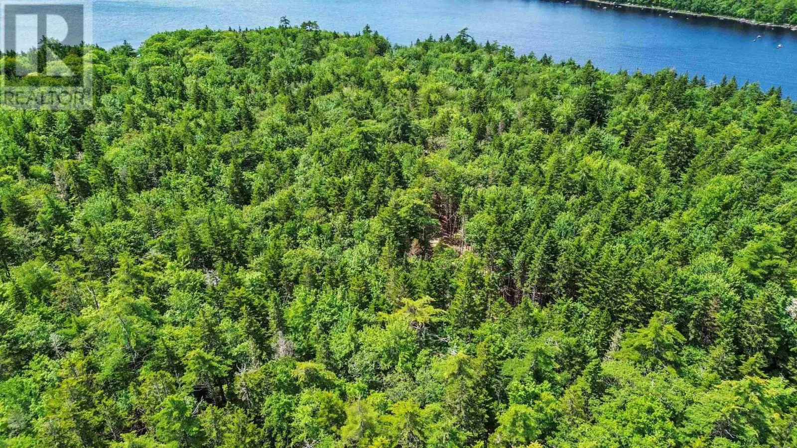 Lot 29 Boutilier Branch Road