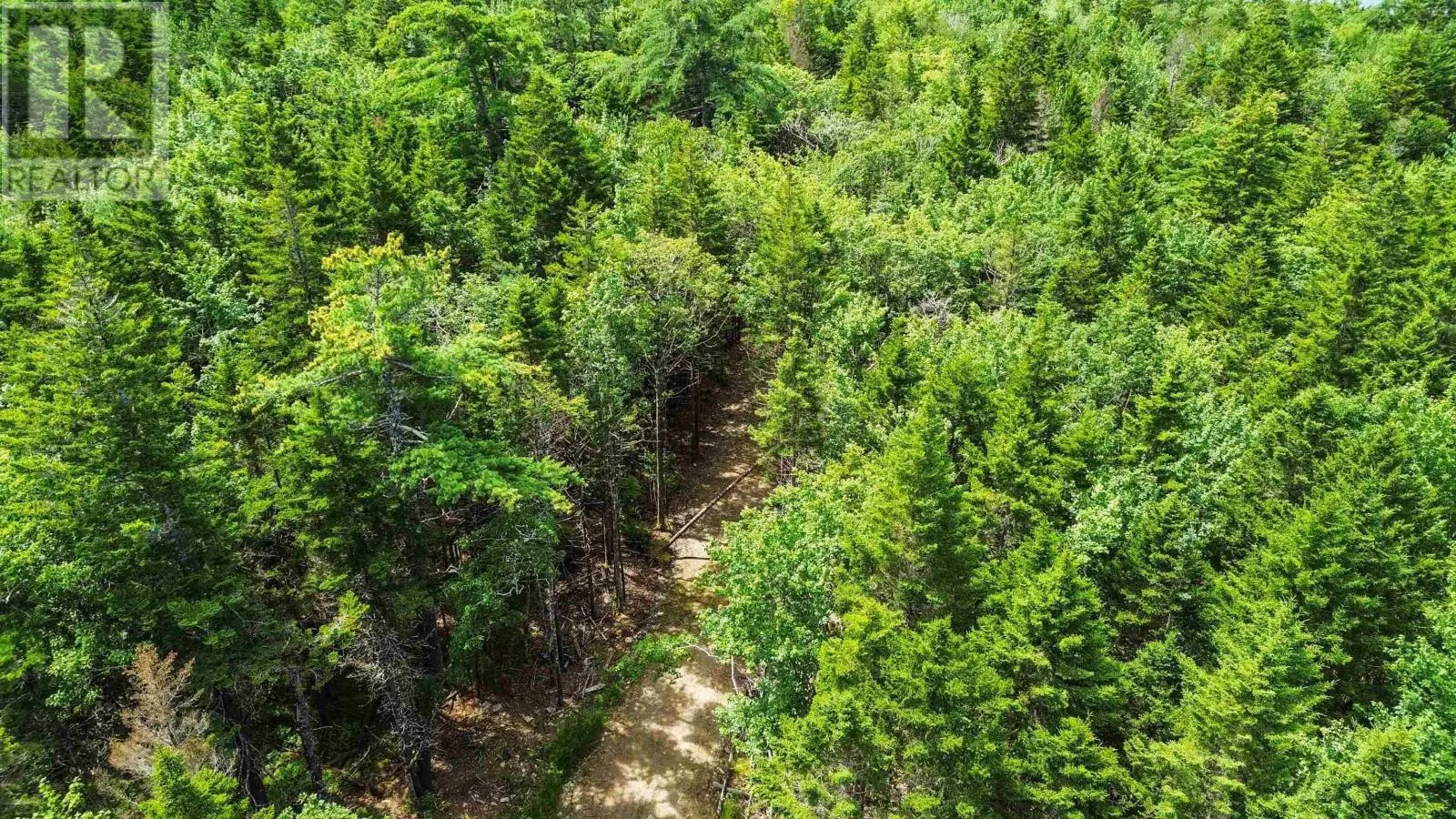 Lot 29 Boutilier Branch Road