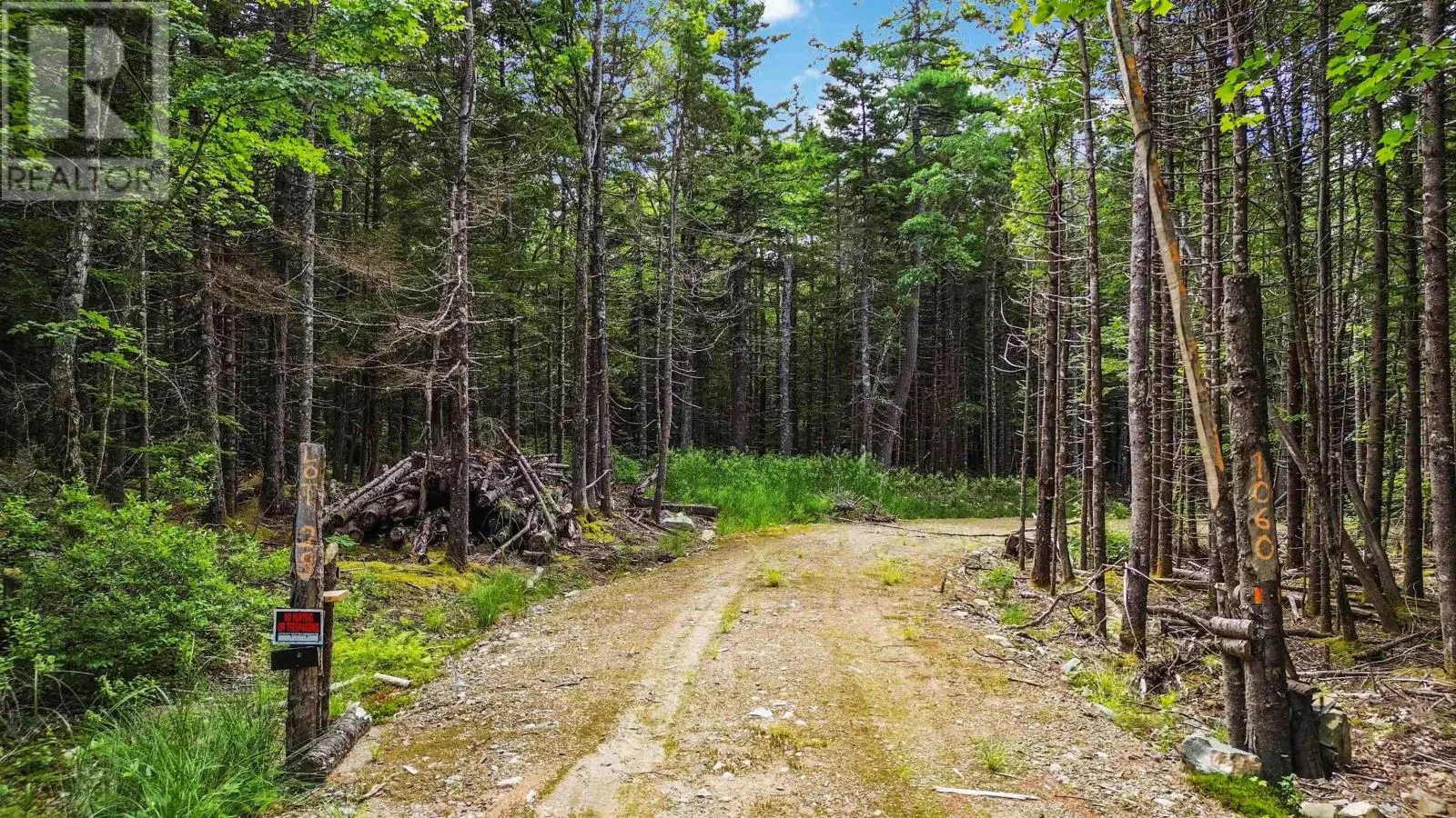 Lot 29 Boutilier Branch Road