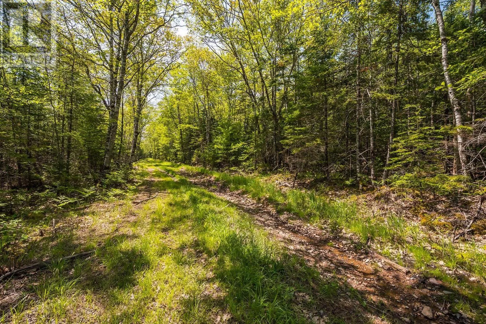 Lot 1 Old Post Road