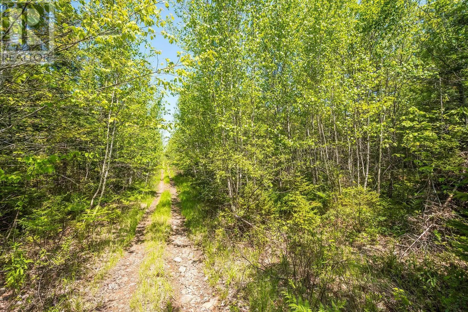 Lot 1 Old Post Road