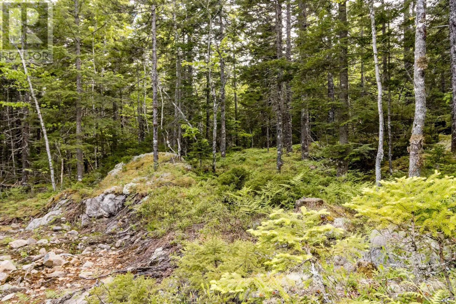 Lot 67 White Tail Pass