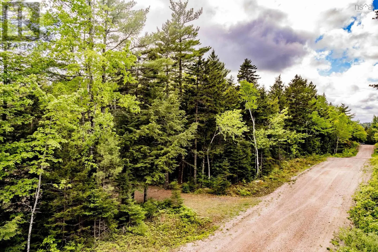 Lot 68 White Tail Pass