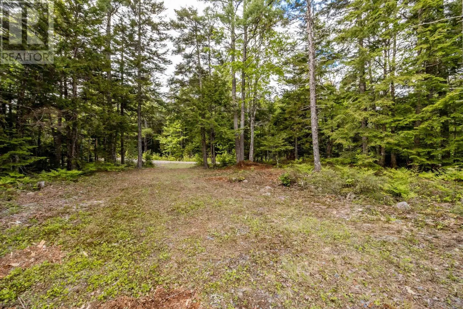 Lot 68 White Tail Pass