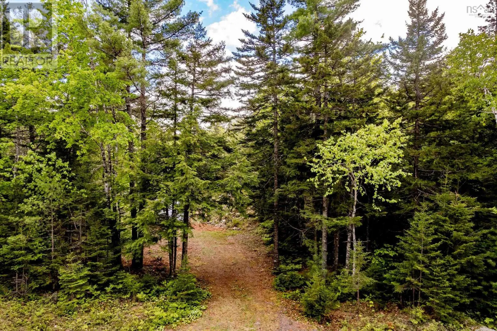 Lot 68 White Tail Pass