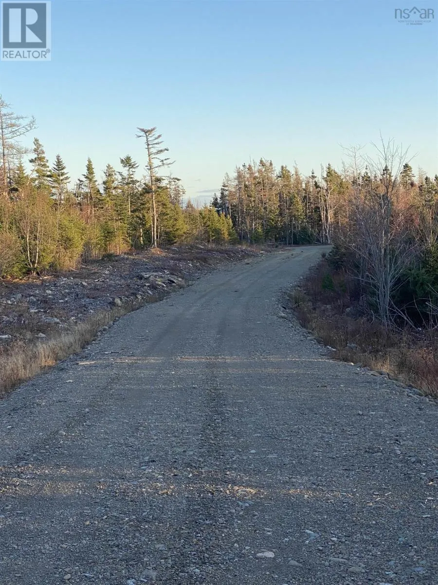 Port Morien Drive