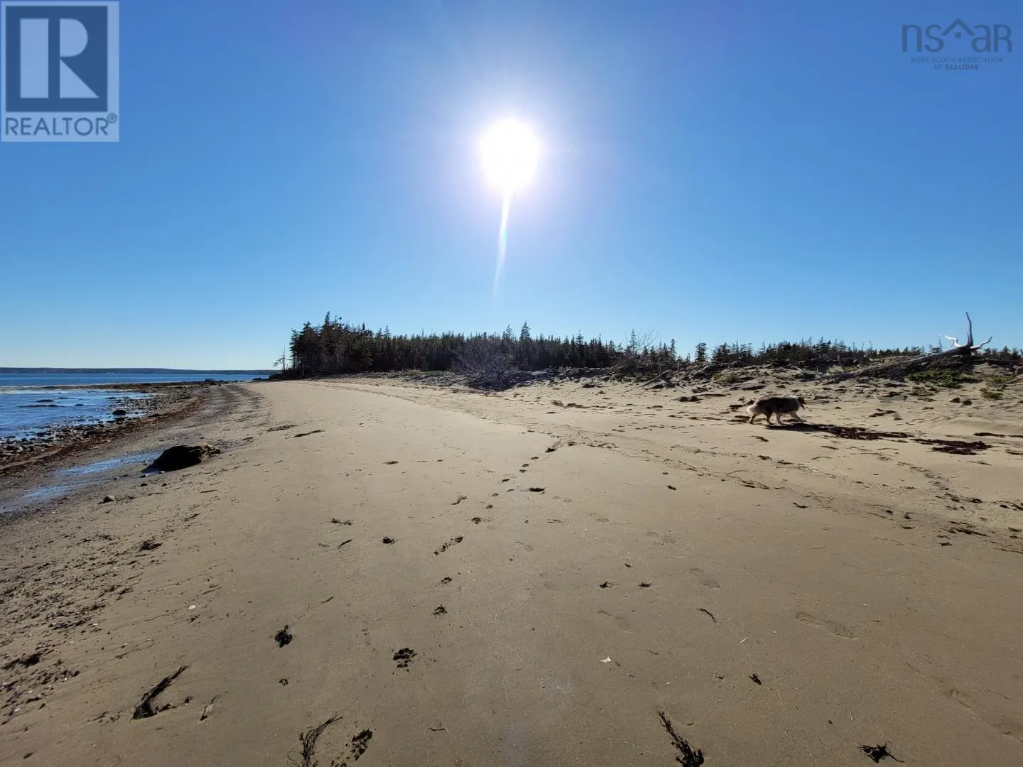 Port Morien Drive