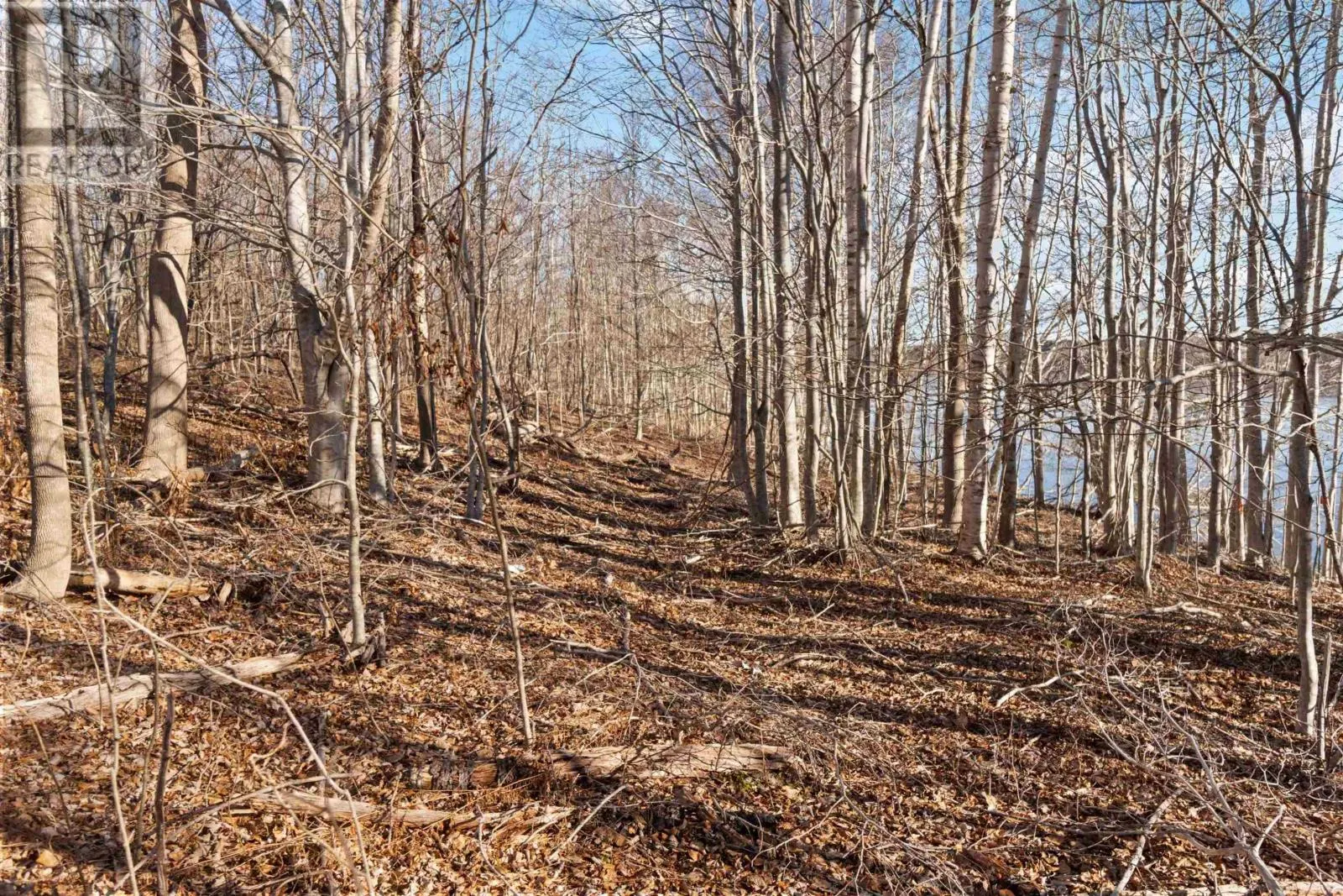 Lot 3 Riverside Road